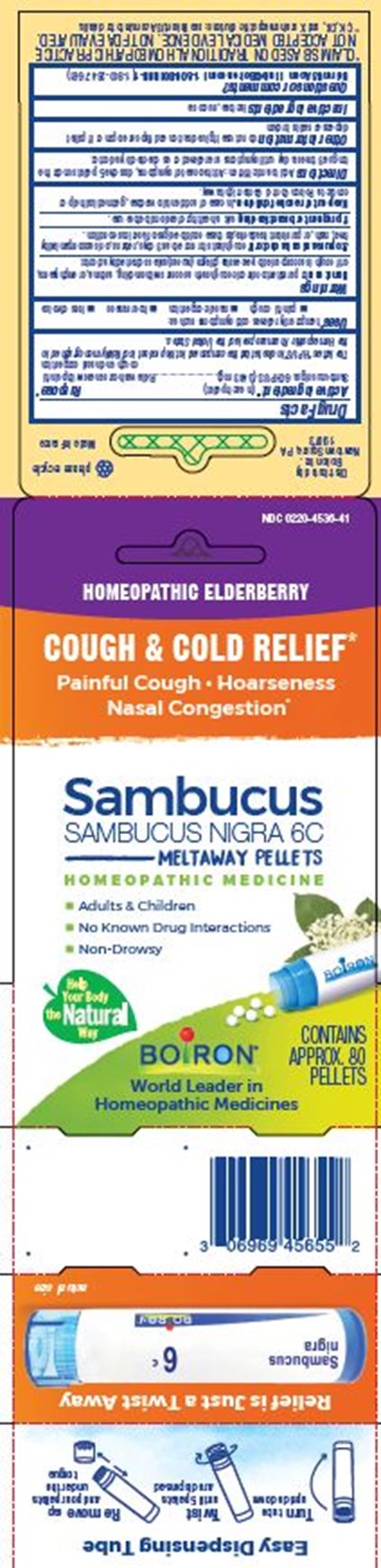 Sambucus Nigra 6c Single Pack 6895837 07.2020